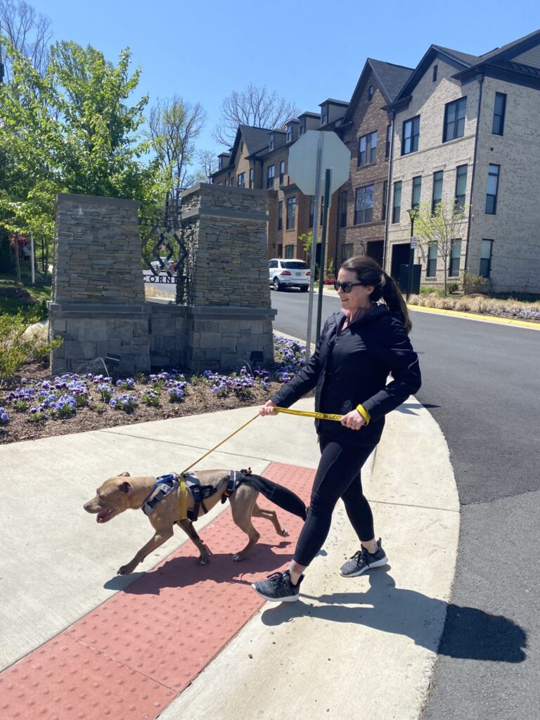 PetDash Virtual 5K 2022 - Friends of the Fairfax County Animal Shelter
