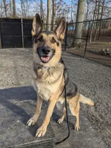 Sammy Success Story Pic 2